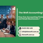 How Can Accounting Firms Assist Startups and Small Businesses